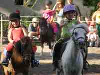 Tous cavaliers! stages poneys chevaux avec et sans hébergement à Manosque Provence